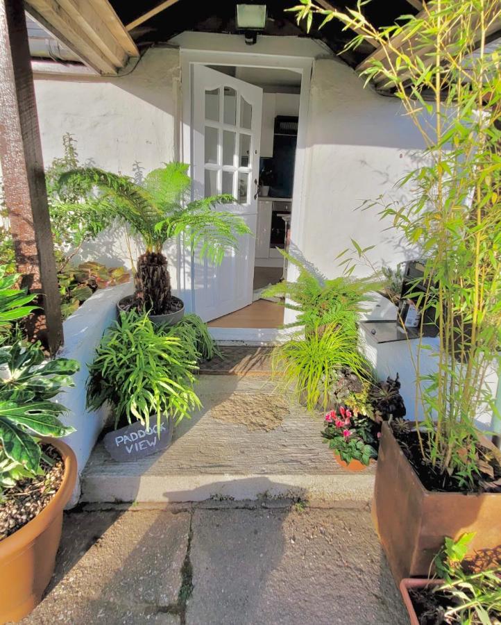 Idyllic Cornish Cottage, Superking Bed, Private Garden Dogs Welcome Truro Ngoại thất bức ảnh