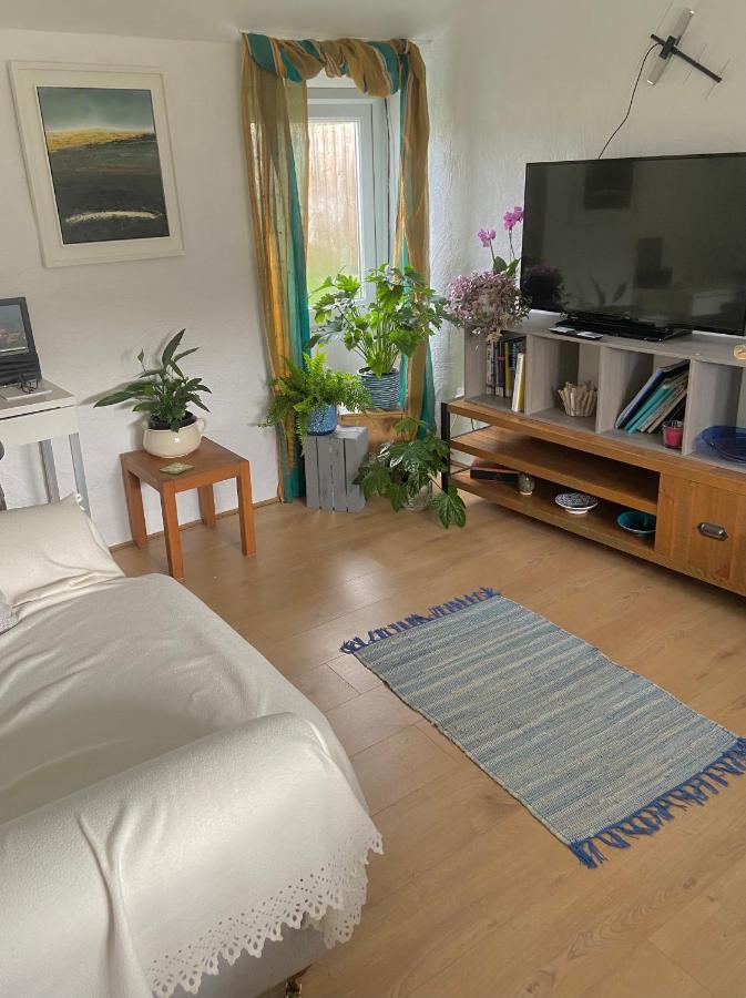 Idyllic Cornish Cottage, Superking Bed, Private Garden Dogs Welcome Truro Ngoại thất bức ảnh