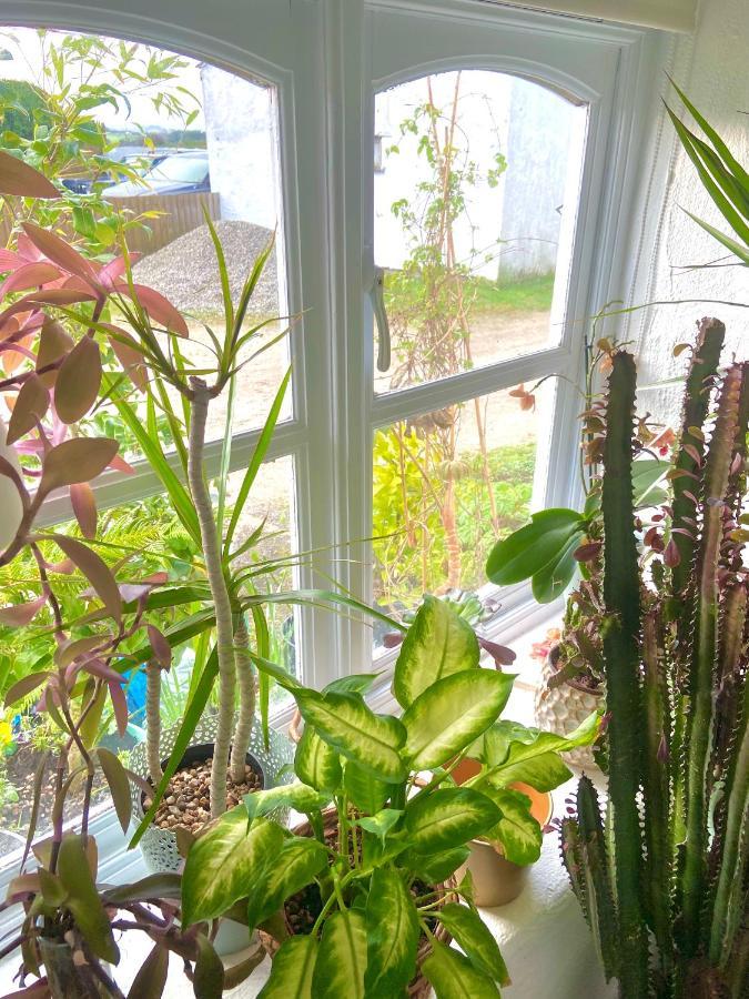 Idyllic Cornish Cottage, Superking Bed, Private Garden Dogs Welcome Truro Ngoại thất bức ảnh